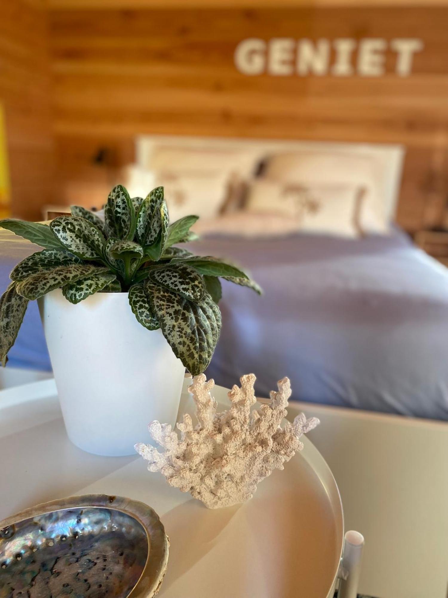 Bed In * Burgh-Haamstede